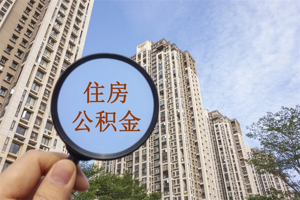 晋江辞职多久公积金可以全部取出来吗（辞职之后公积金多长时间可以取）